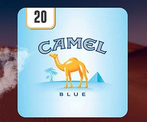 Camel